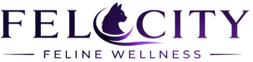 FELOCITY